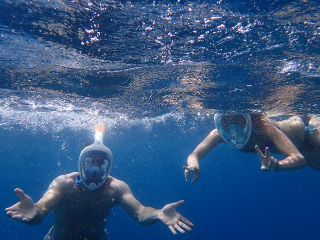 divers-diving-enjoyment-734725