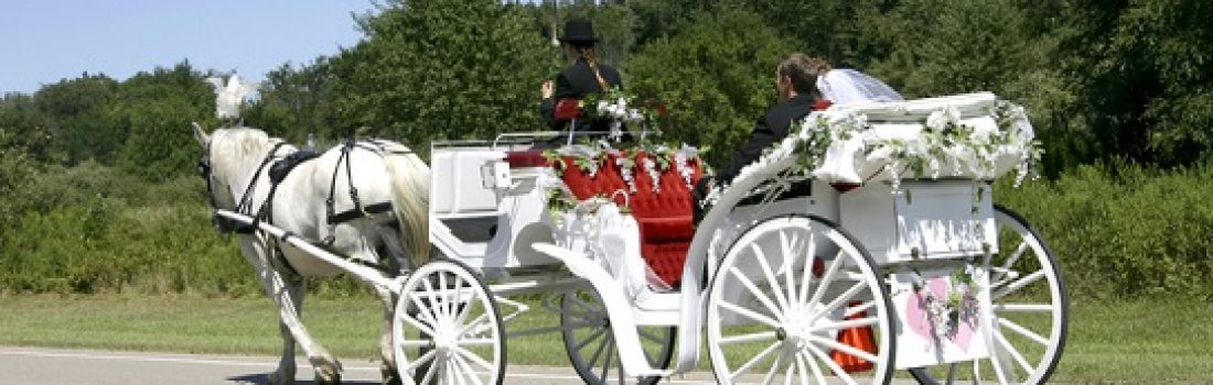 Newly-wed couple in a white, horse-drawn, open carriage